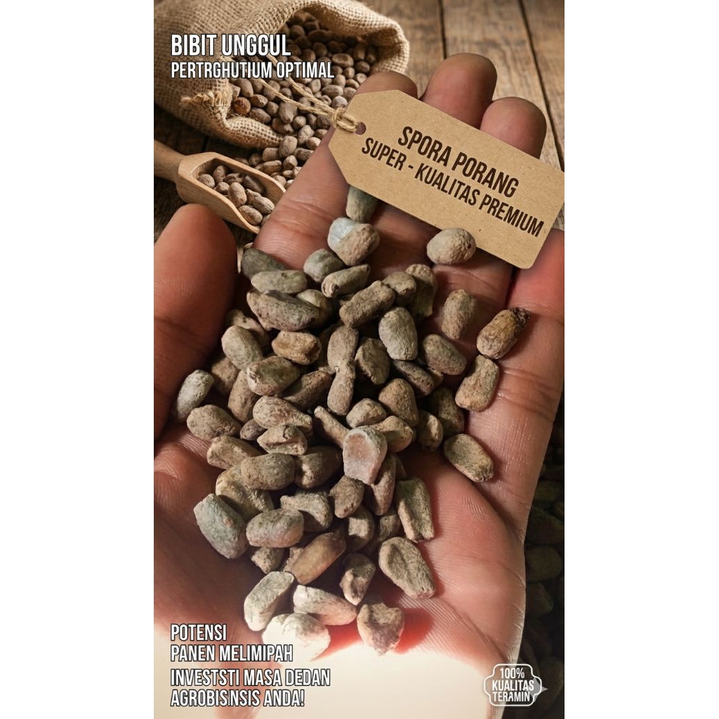 Spora Porang Unggul 1 kg