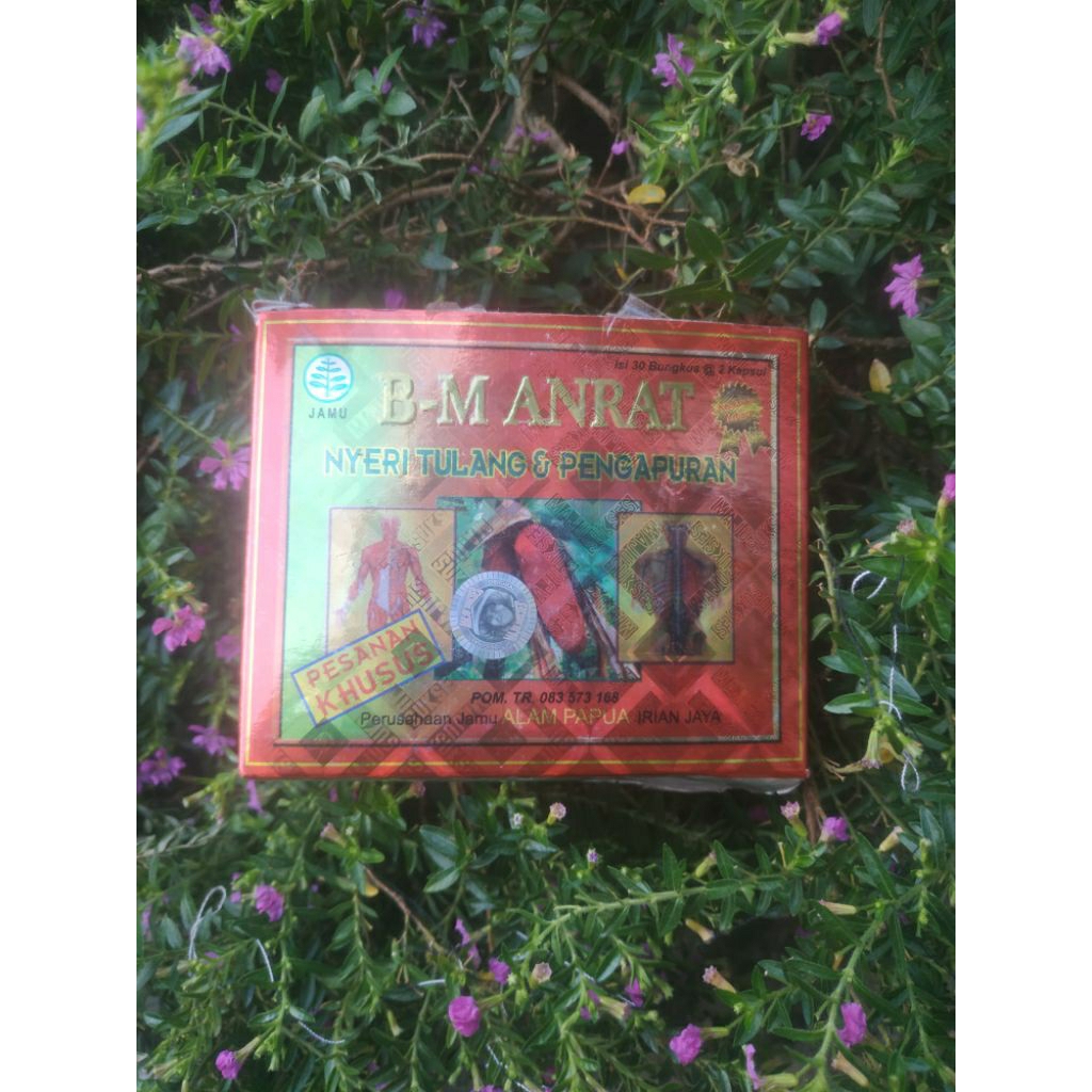 BM anrat jamu kapsul buah merah+gingseng original