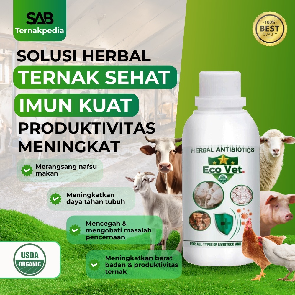 LEBIH EFEKTIF Ecovet Antibiotik 200 gram - Ecovet Original 200 gr - Ecovet - Buy 3 Get 1