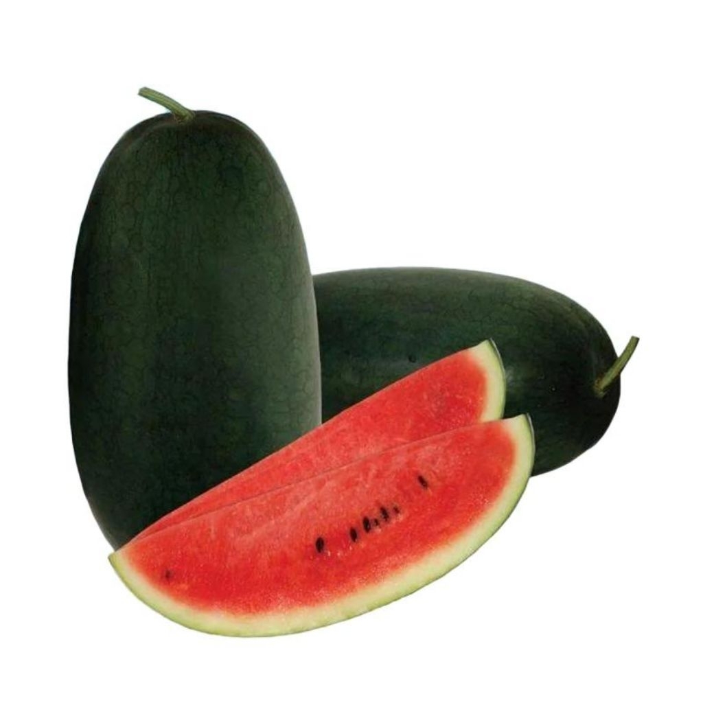 buah semangka lonjong inul 1bulat