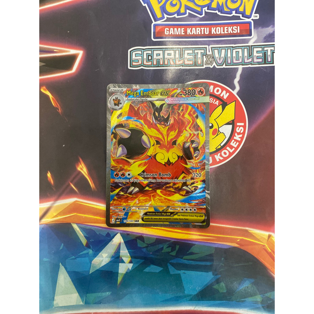 Mega Emboar ex SAR