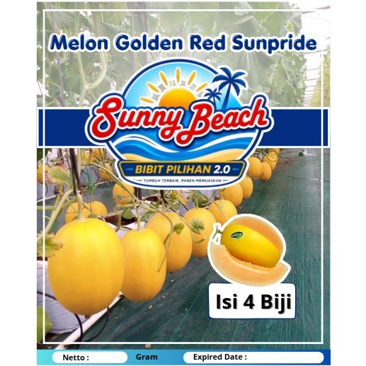 Bibit Pilihan Tumbuh Terbaik Panen Memuaskan 2.0 | Bibit Melon Golden Red Sunpride | Biji Benih Melo