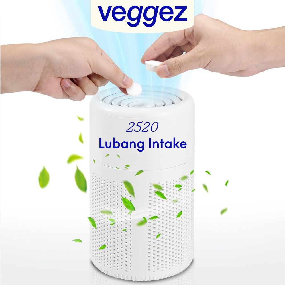 Pembersih Udara Ruangan Air Purifier Penghilang Bau Asap Rokok