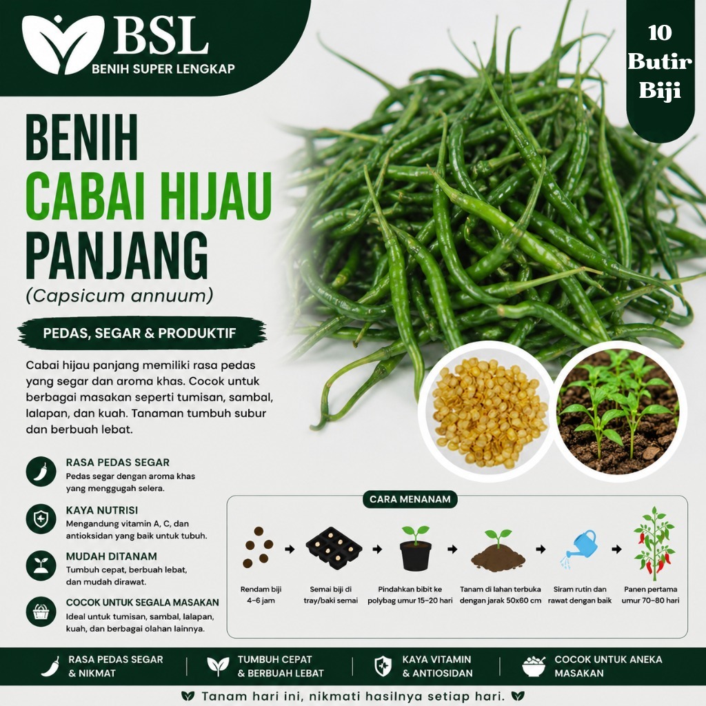 ( 10 Butir ) Benih Biji Cabai Hijau Panjang | Cabe Hijau Lombok | Cabe Hijau | UKI BIBIT