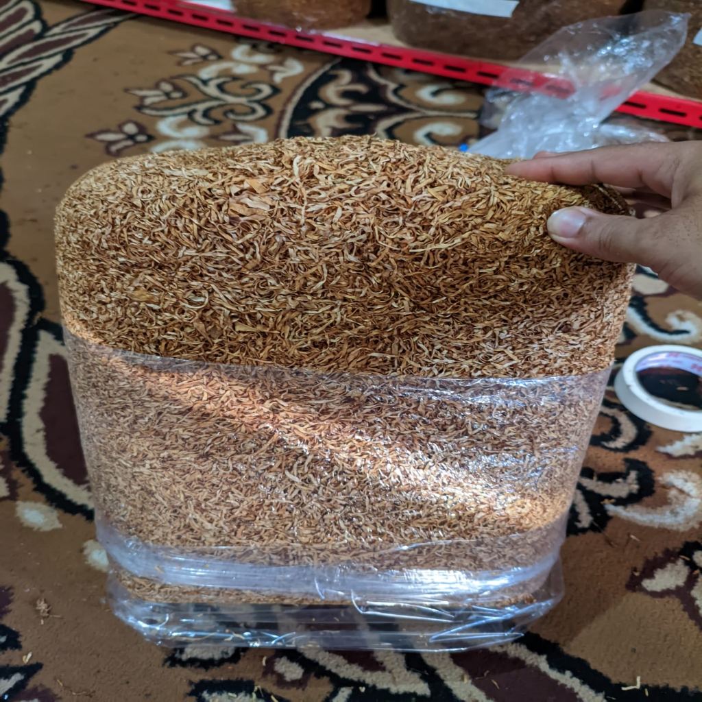 Bibit Lamsi Halus Temanggung