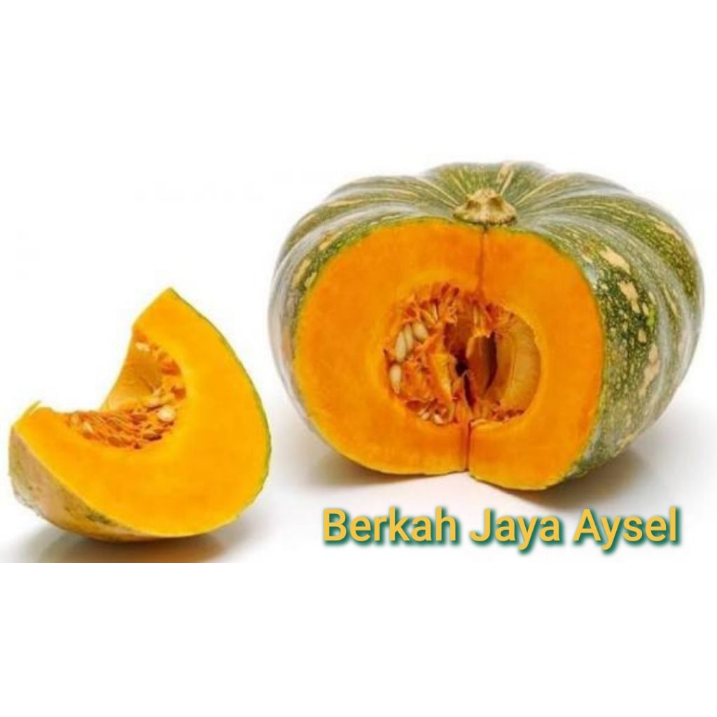 satu buah waluh