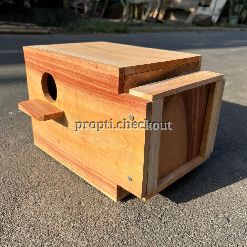 glodok kaca Lovebird , parkit ,falk halus kayu mahoni