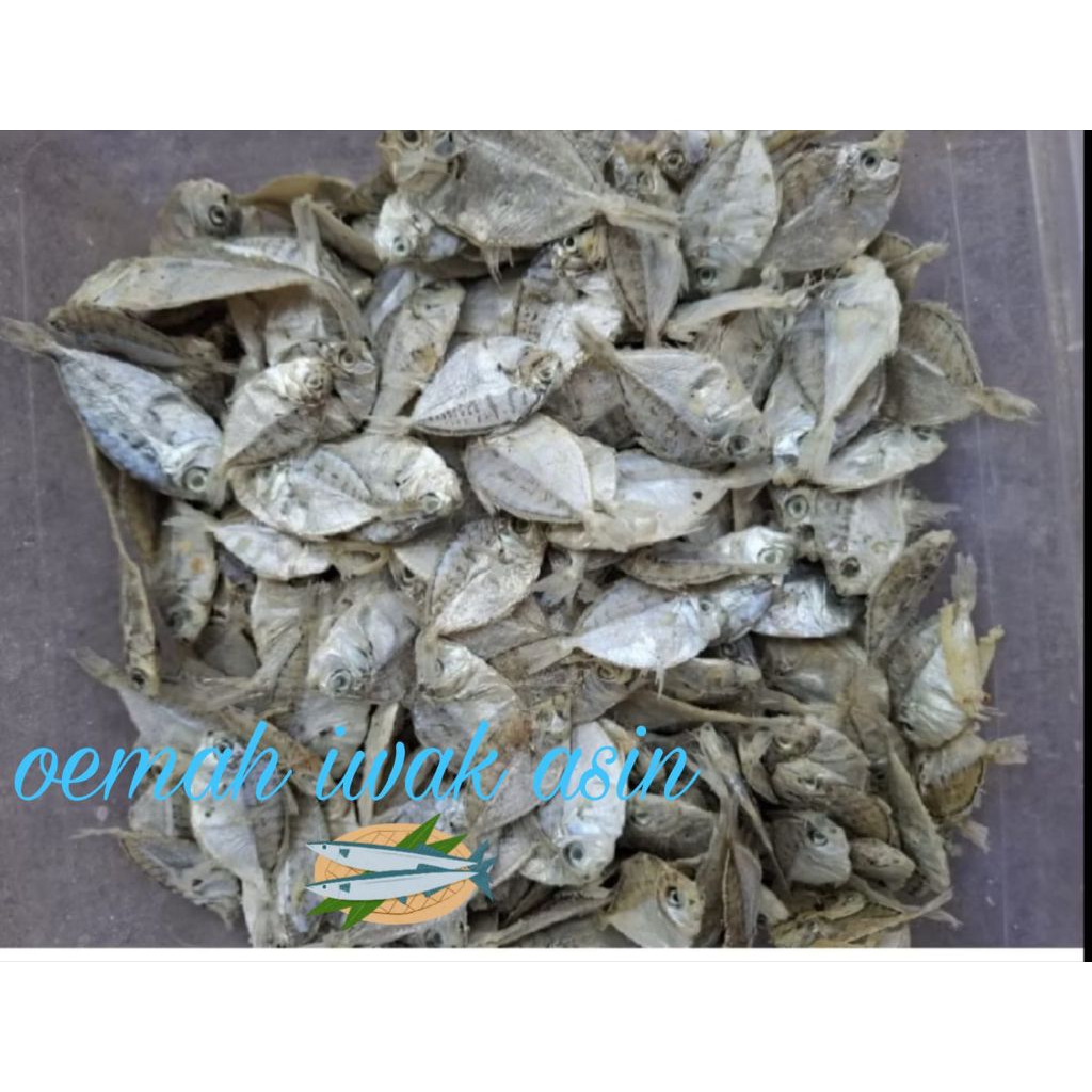 ikan petek kecil /ikan petek 1kg kualitas k1