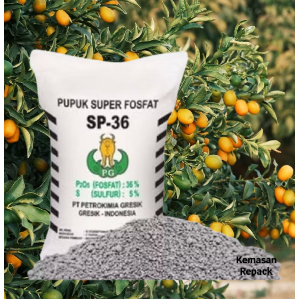 Pupuk TSP 36/SP36 500gr - Pupuk Fosfat Tinggi