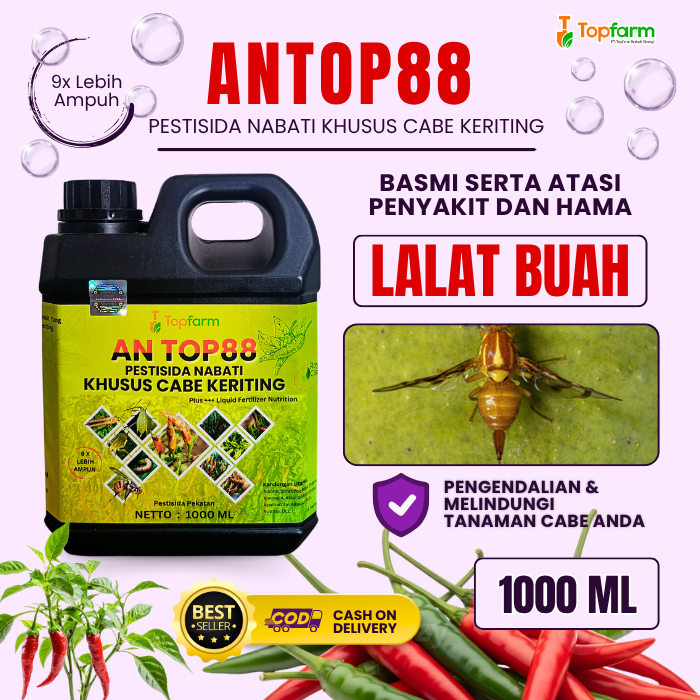 Pestisida Lalat Buah Cabe Keriting / Pembasmi Lalat Buah Cabe / Pestisida Topfarm / Obat Lalat Buah 