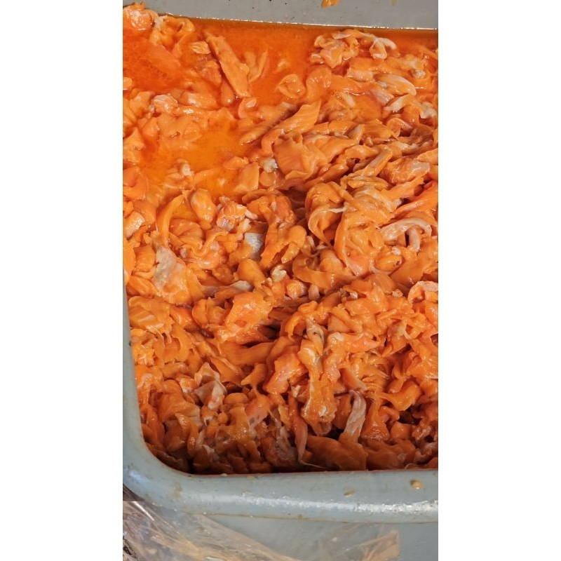Tetelan Daging Salmon Giling, kulit Kerokan Salmon, Potongan Belly, minyak ikan Salmon [100GR]