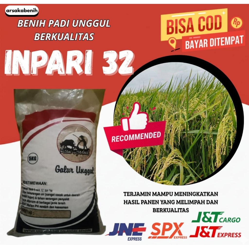 benih padi unggul INPARI 32 premium 5kg
