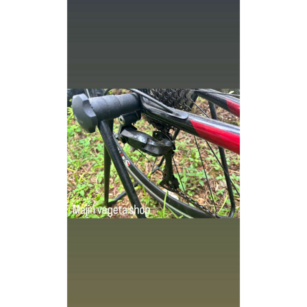Roadbike Pacific Primum 3