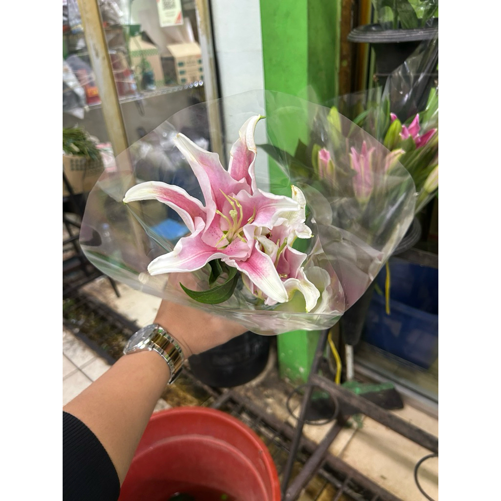 Bunga Lily Pertangkai - Fresh Flowers - Bunga Potong Segar Jakarta