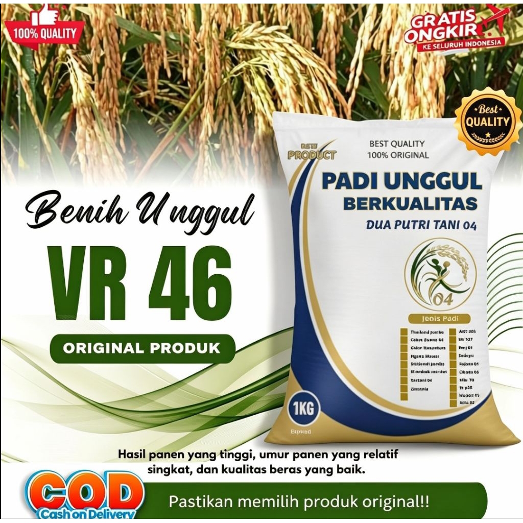 Bibit Padi Unggul VR 46 Kemasan 1 Kg