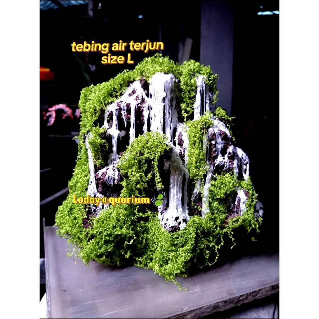 HIASAN AKUARIUM TEBING AIR TERJUN AQUASCAPE/PALUDARIUM