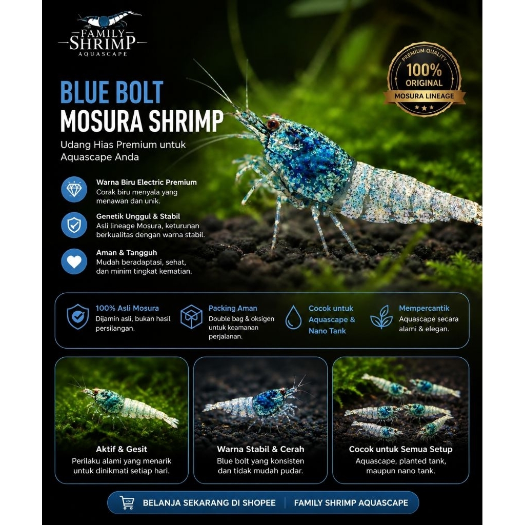 PAKET UDANG HIAS AQUARIUM AQUASCAPE BLUE BOLT MOSURA SHRIMP - UDANG HIAS AQUARIUM AQUASCAPE - UDANG 