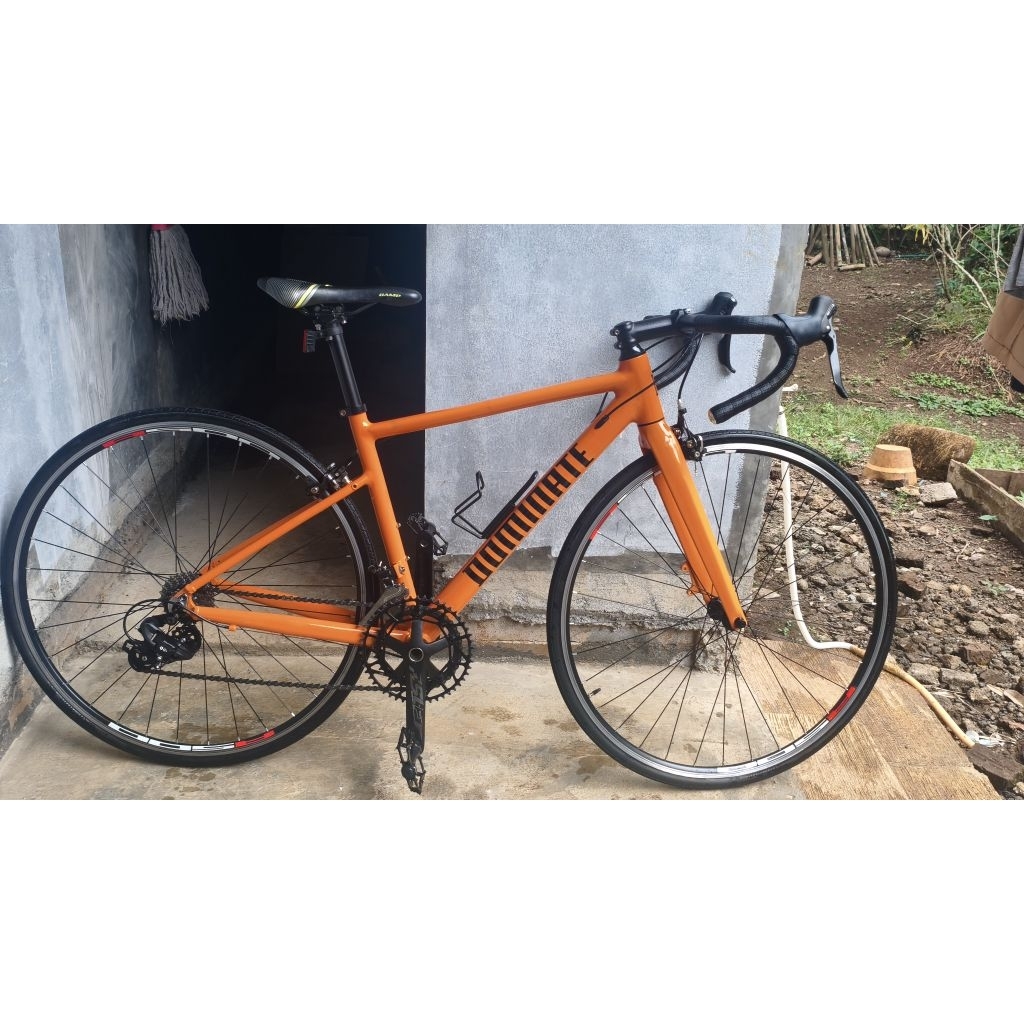 SEPEDA ROAD BIKE DOMINATE RR