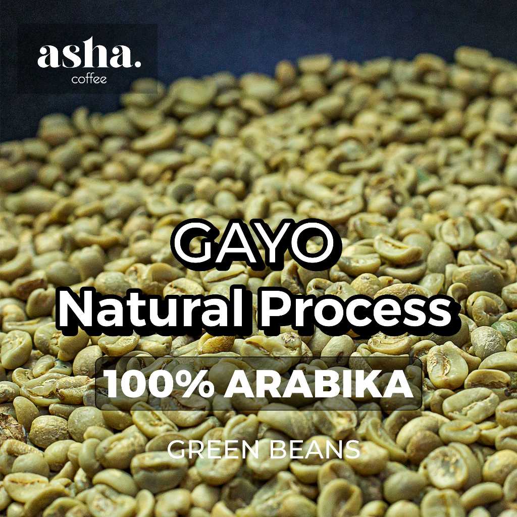 Green Bean Arabika Gayo Aceh Natural Process 1 KG | Biji Kopi Hijau Premium | Specialty Coffee