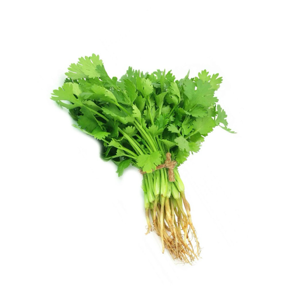 Coriander / Daun Ketumbar Fresh