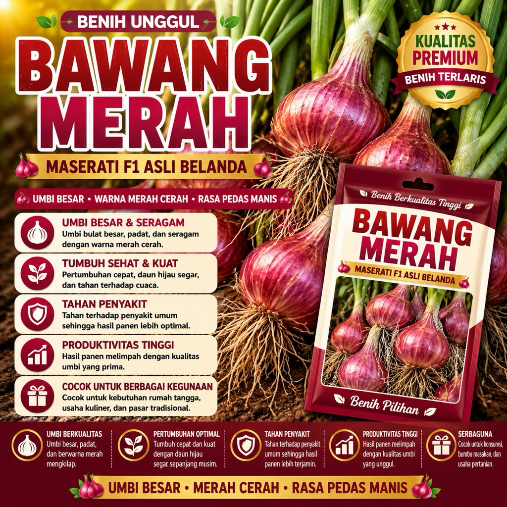 ISI PAKET : 10 Biji - Benih Bawang Merah MASERATI F1 Asli Belanda -RSB1990