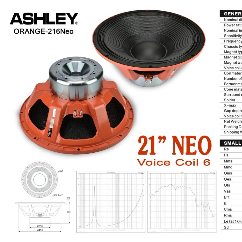 Komponen Speaker 21 Inch ASHLEY ORANGE216NEO Original