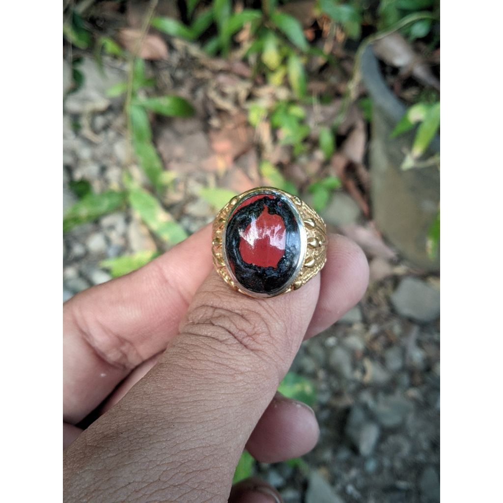 Natural Badar Besi Merah Cabe Gambar Buah Merah Delima