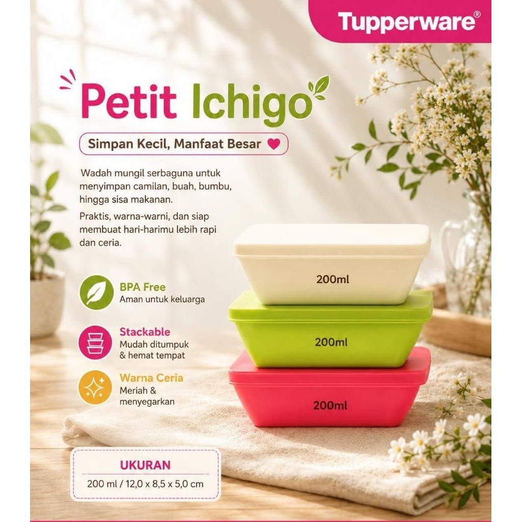 tupperware petit ichigo (3)