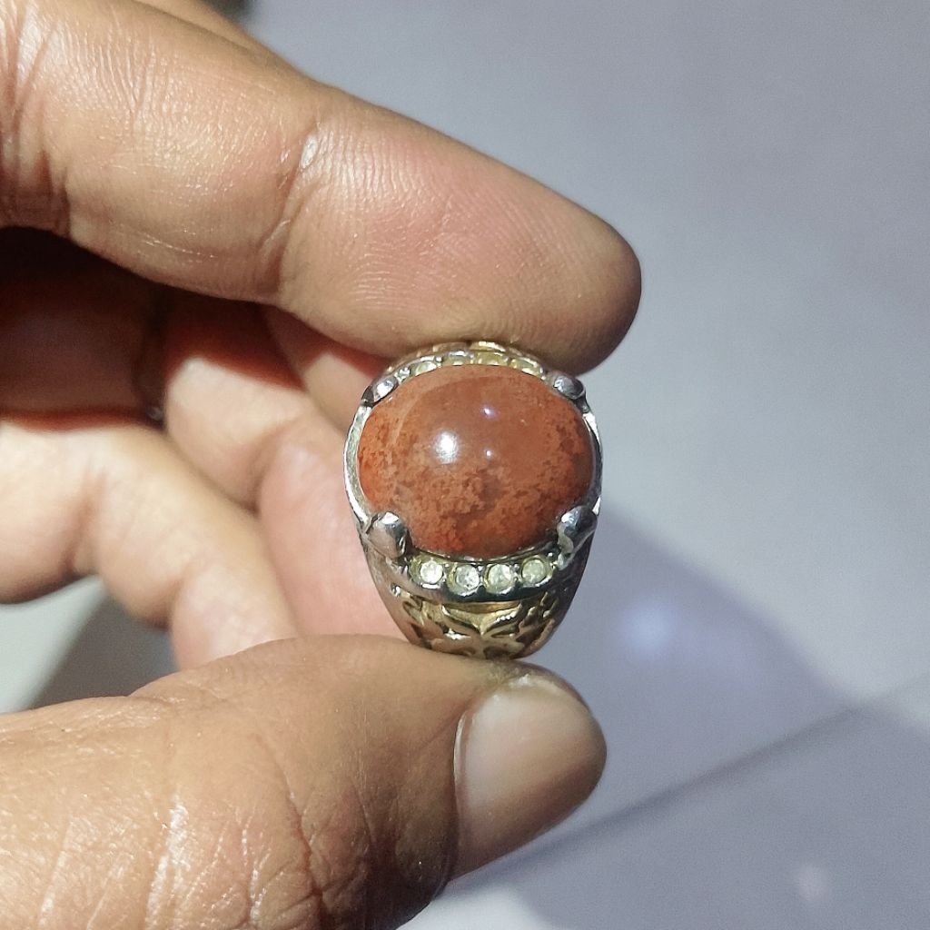 Lumut Suliki Merah