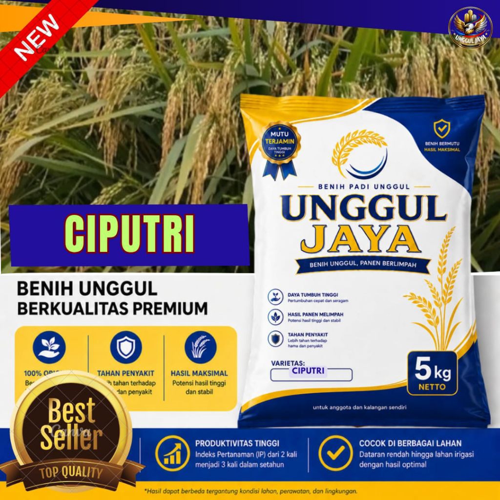 benih padi bibit unggul padi ci PUTRI kemasan 5kG
