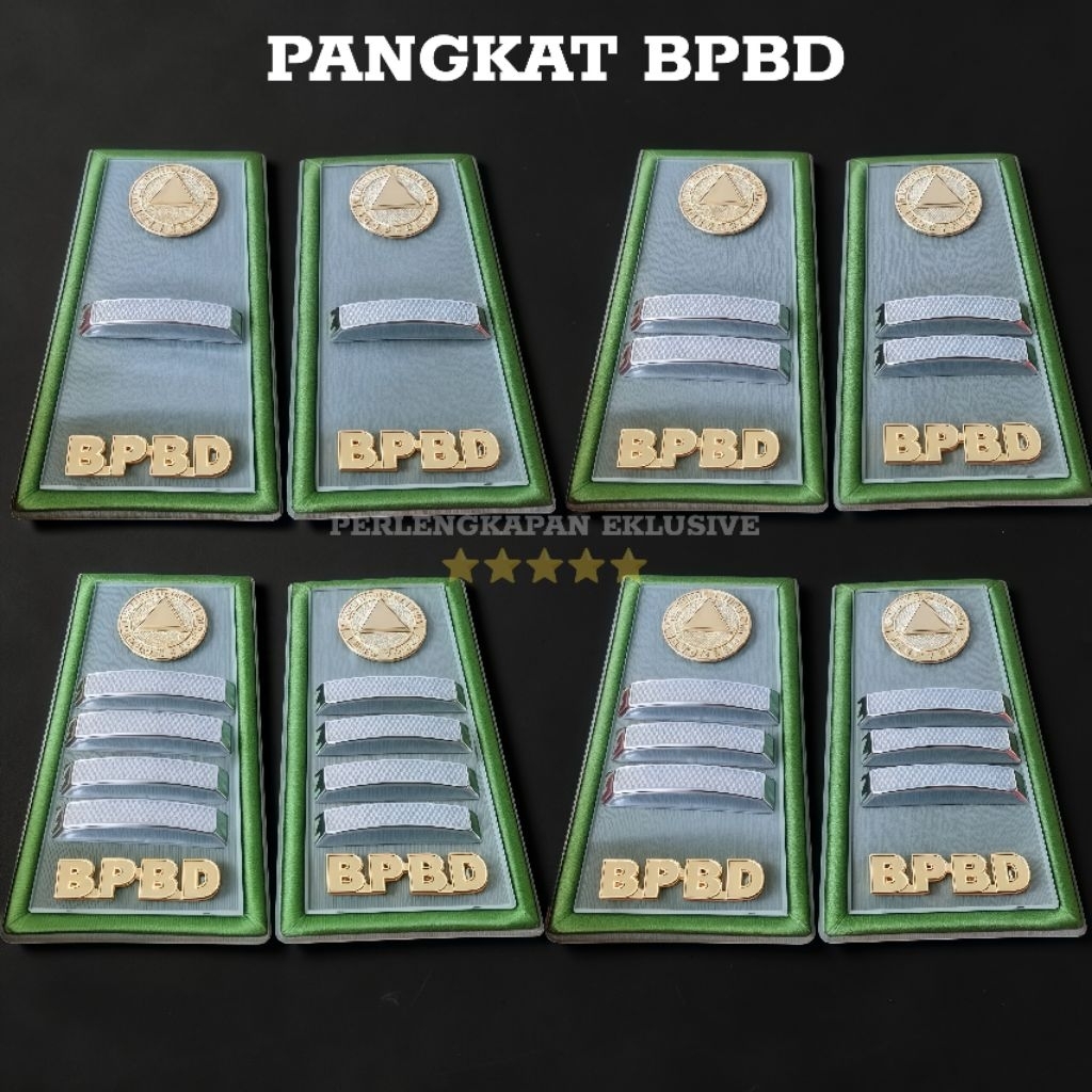 PANGKAT BPBD 2A | 2B | 2C | 2D PANGKAT BPBD GOLONGAN 2D - PANGKAT BPBD 2D / PANGKAT BPBD 2A