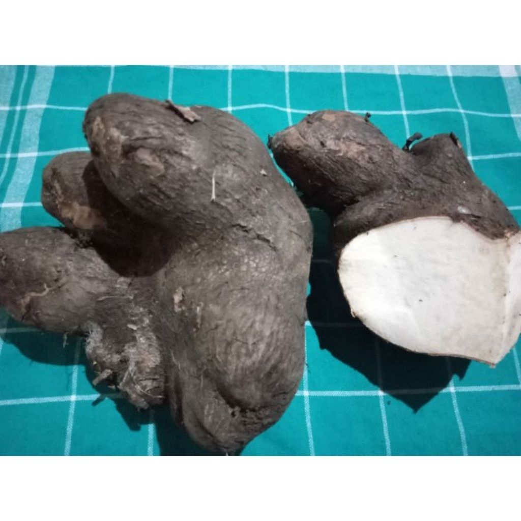 Jajanan tradisional Umbi uwi putih pulen