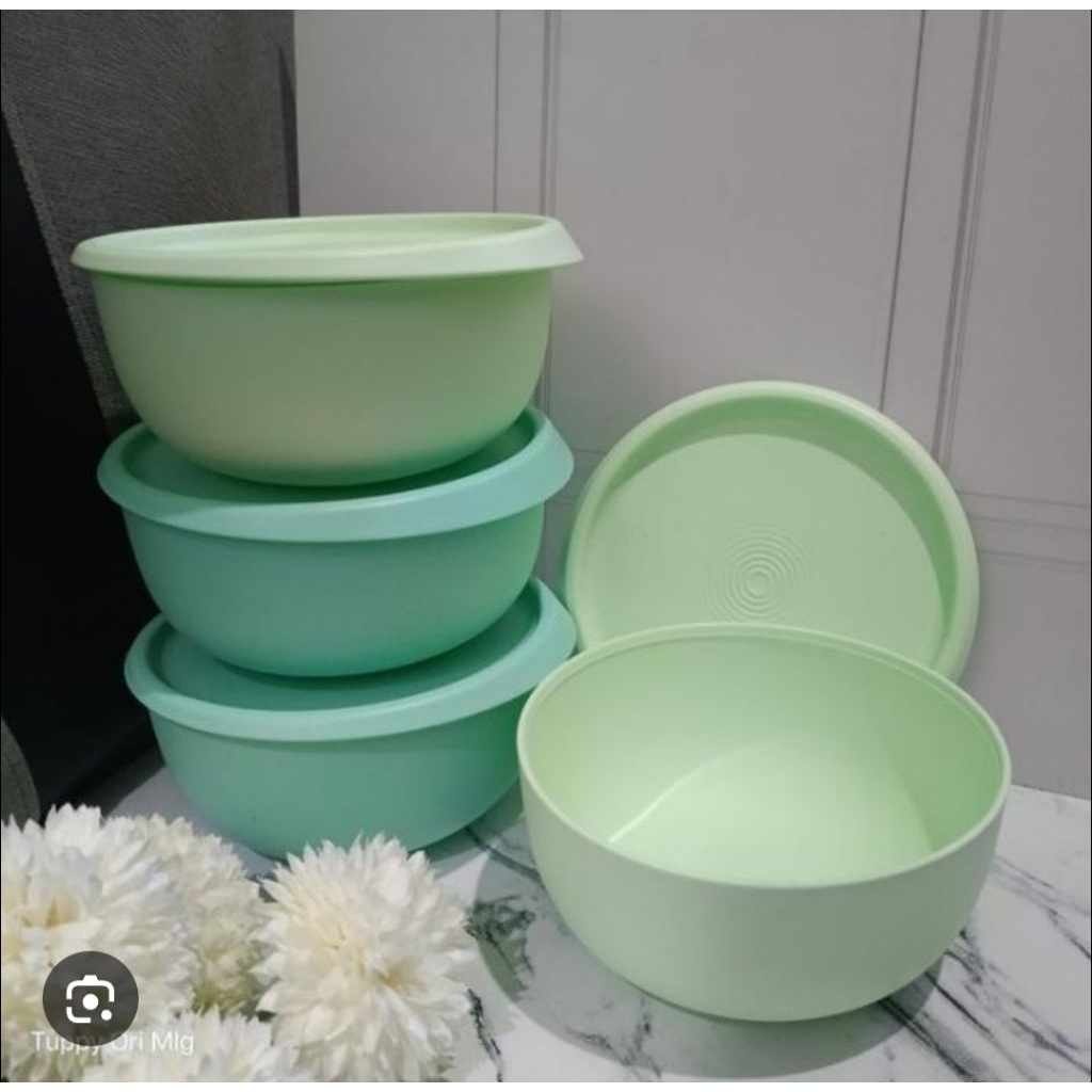 Vivid Bowl Tupperware