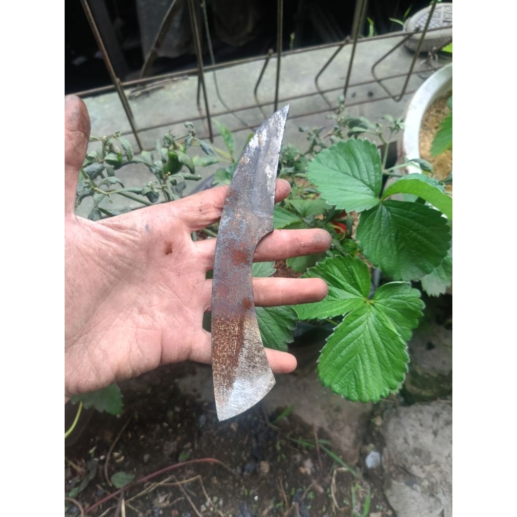 bilah pisau okulasi fulltank