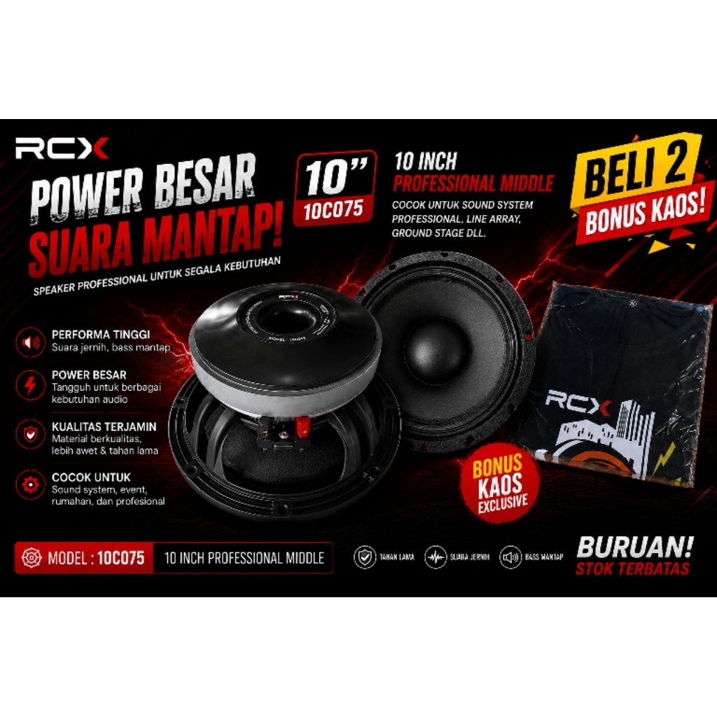 SPEAKER 10 INCH RCX 10C075