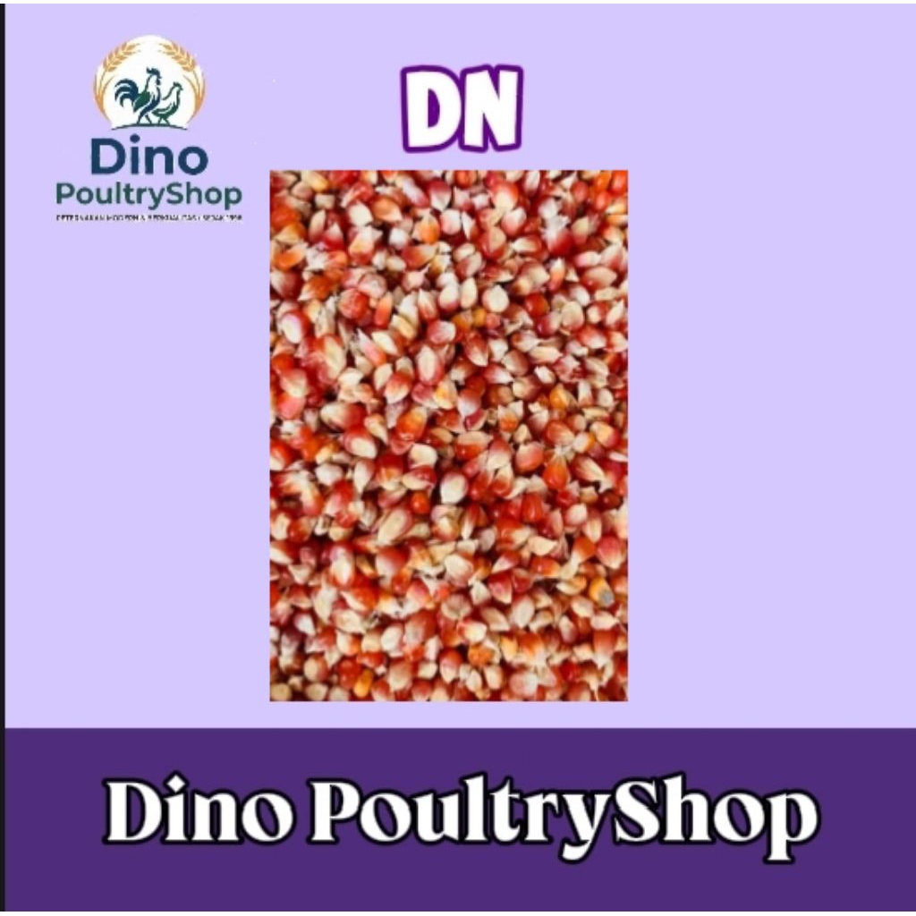 Jagung Merah Cristal 100g Untuk Burung Merpati/Ayam dan Unggas