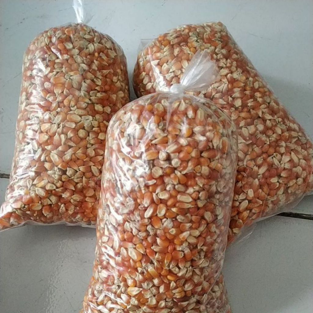 1 KG Jagung Kristal Pakan Burung Merpati Burung Dara Ternak Kolongan Balap