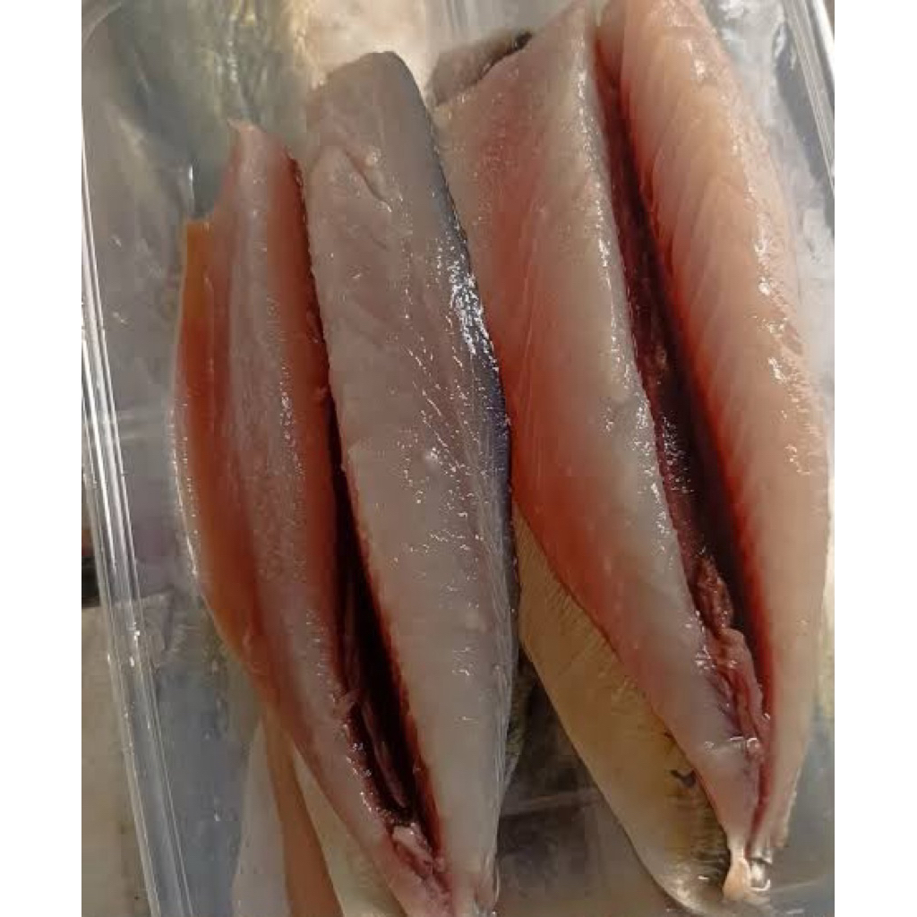 ikan kembung banjar fillet fresh frozen