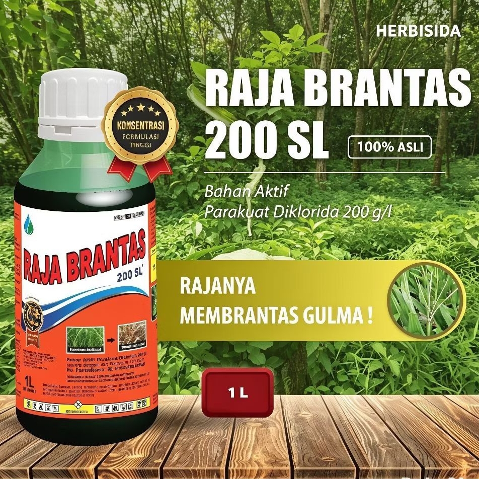 RAJA BRANTAS 200SL 1Liter