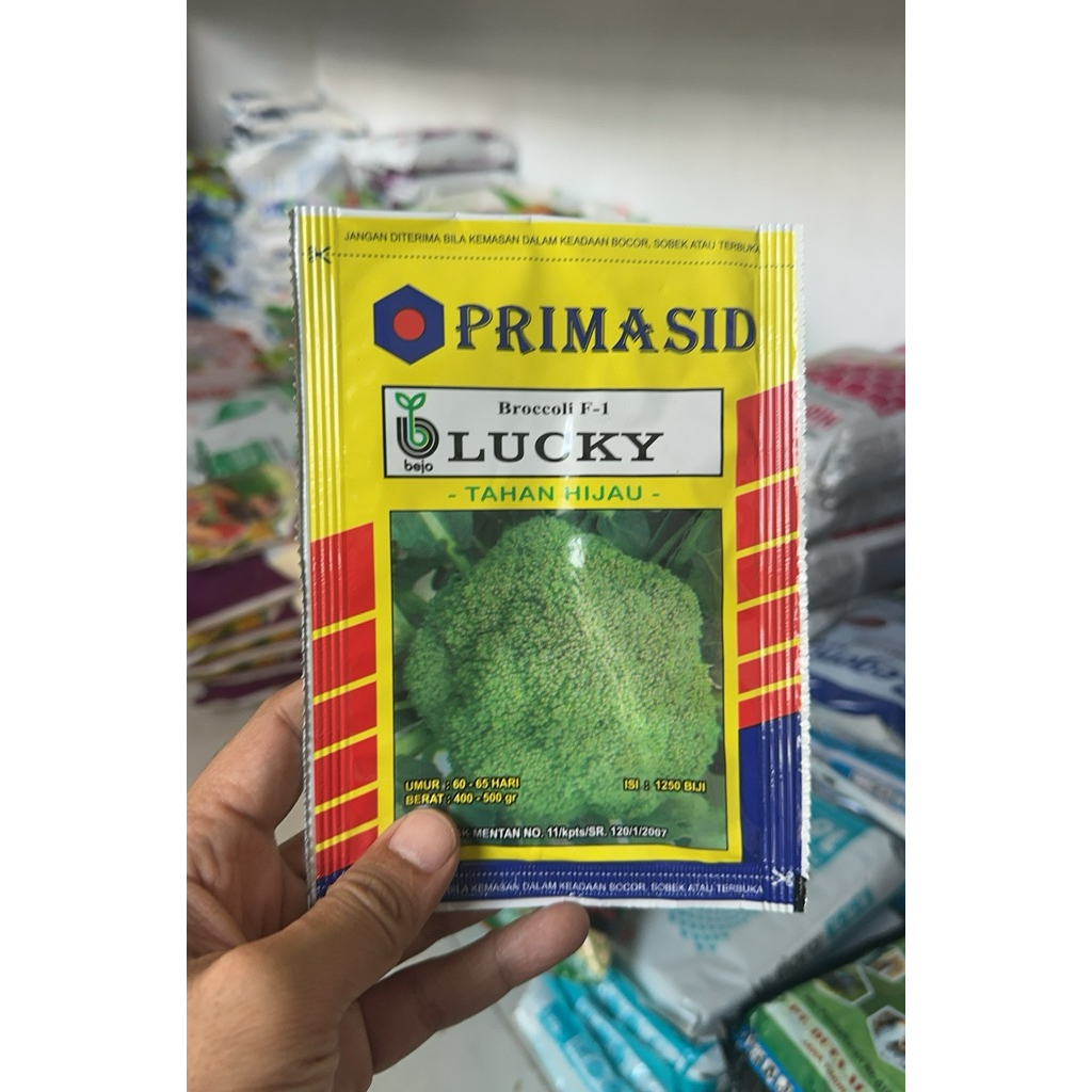 Benih Brokoli Lucky Bejo 1250 biji