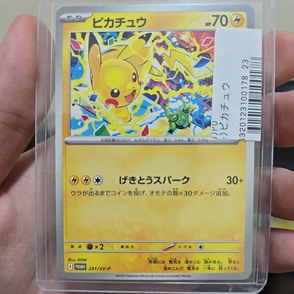 Pikachu promo gym