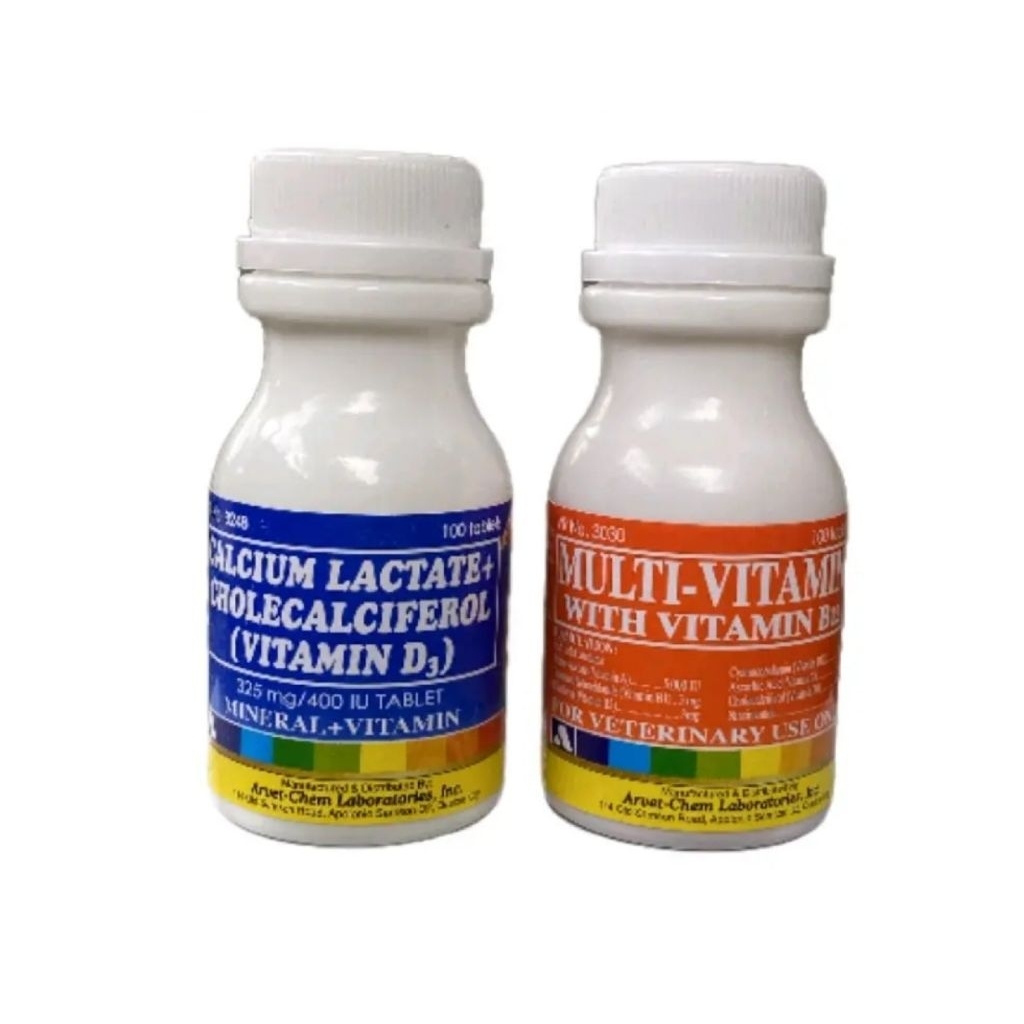 Calcium lactate Dan Multivitamin khusus untuk ayam rawatan