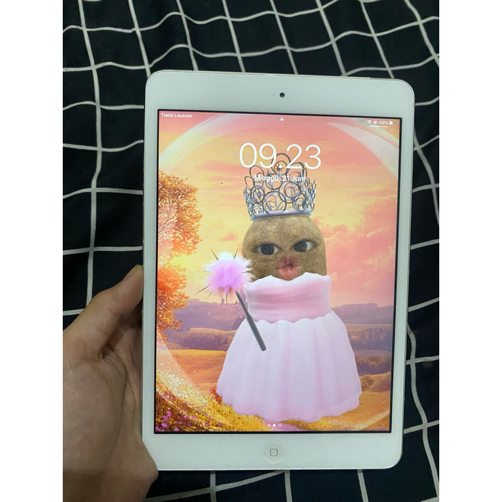 ipad mini 2