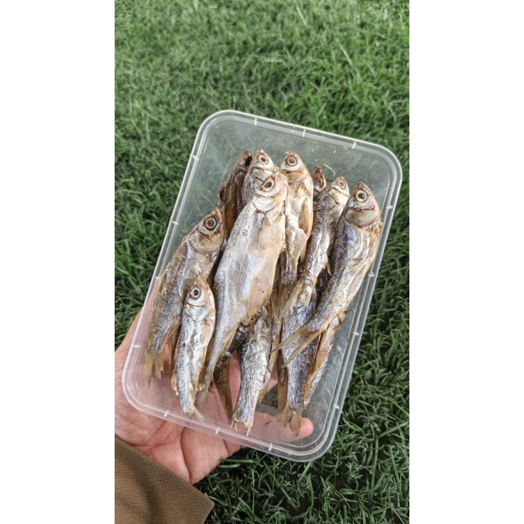 ikan asin lambak khas palembang