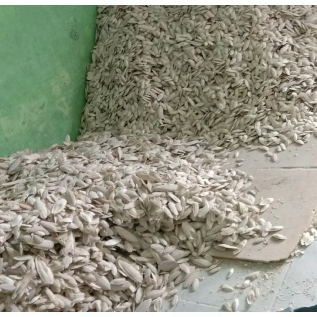 Tulang Sotong 5-7 cm curah untuk serbuk tepung sotong / tulang sotong per 1 gram / tulang sotong / b