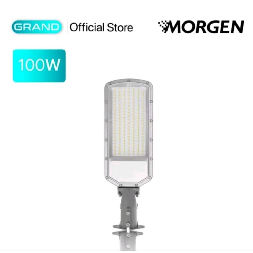 Lampu Jalan / PJU 100W CDL IP65 MORGEN