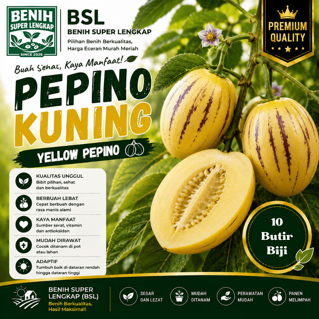 ( 10 Butir ) Benih Biji Buah Pepino | Pepino Kuning | Melon Pepino | UKI BIBIT