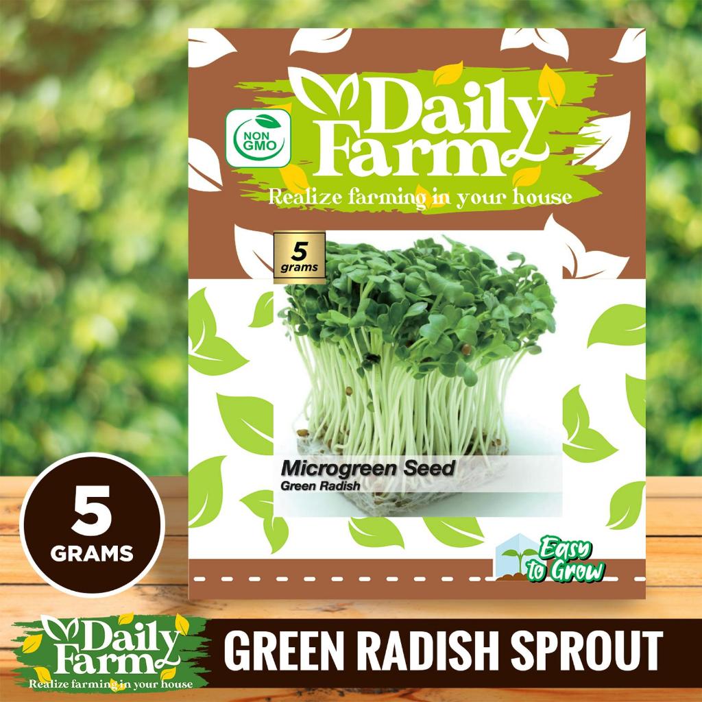 DF Benih Microgreen Green Radish - Microgreen Green Radish - Microgreen Green Radish