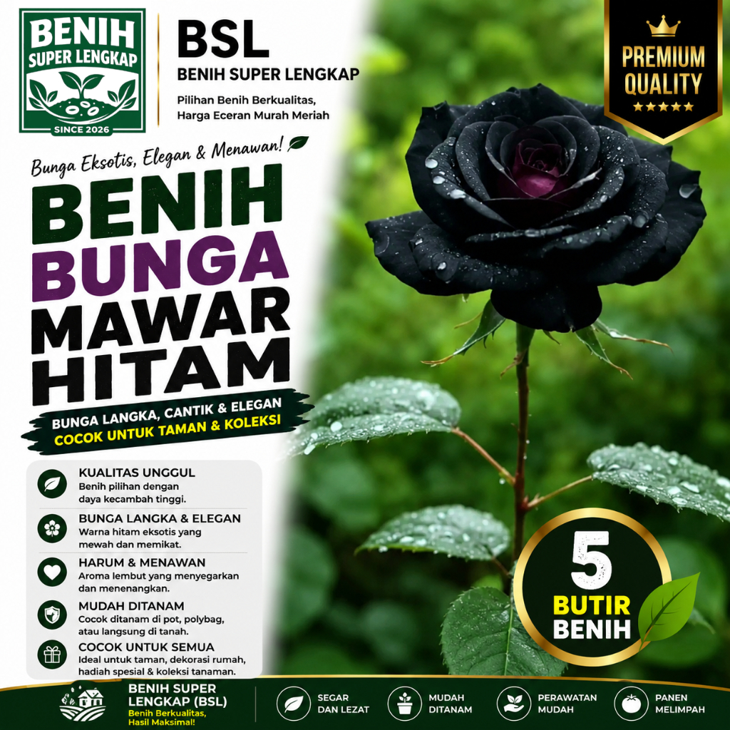 ( 5 Butir ) Benih Biji Bunga Mawar Hitam | Mawar Mix | Mawar Kuning | UKI BIBIT