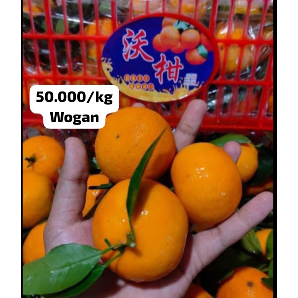 Jeruk wogan fresh premium/ JERUK WOGAN PREMIUM